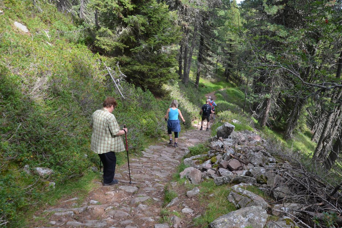 Platzer Alm 29.08.2018